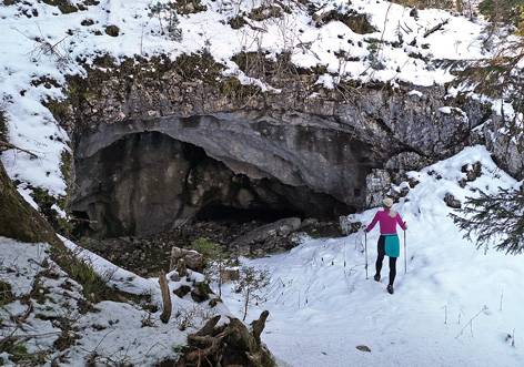 Felsbildforschung in Österreich. ANISA, Verein für alpine Forschung 2020
