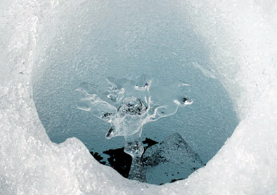 Gletscherblume, Schladminger Gletscher 2020. ANISA, Verein für alpine Forschung. www.anisa.at