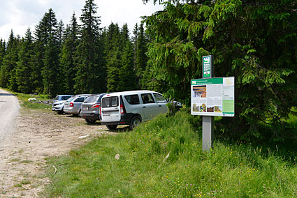Hunderte Autos fahren im Natura 2000 Schutzgebiet herum