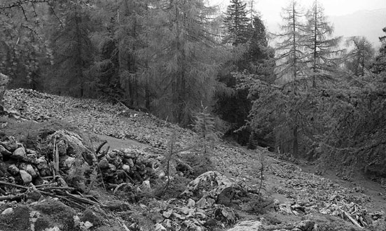 Denudationsmessungen an einem Steinhag. Dachsteingebirge. ANISA, Verein für alpine Forschung. 2014