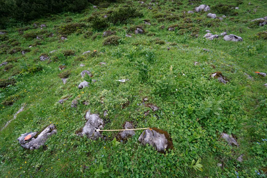 Denudationsforschung auf Steinen aus Dachsteinkalk in direktem Bezug zu hoachalpinen Wüstungen. ANISA, Verein für alpine Forschgung 2014