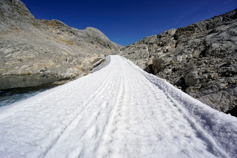 Schladminger und Hallstätter Gletscher 2025. Gletscherzustandsbericht, Gletscherbericht. ANISA, Verein für alpine Forschung. 